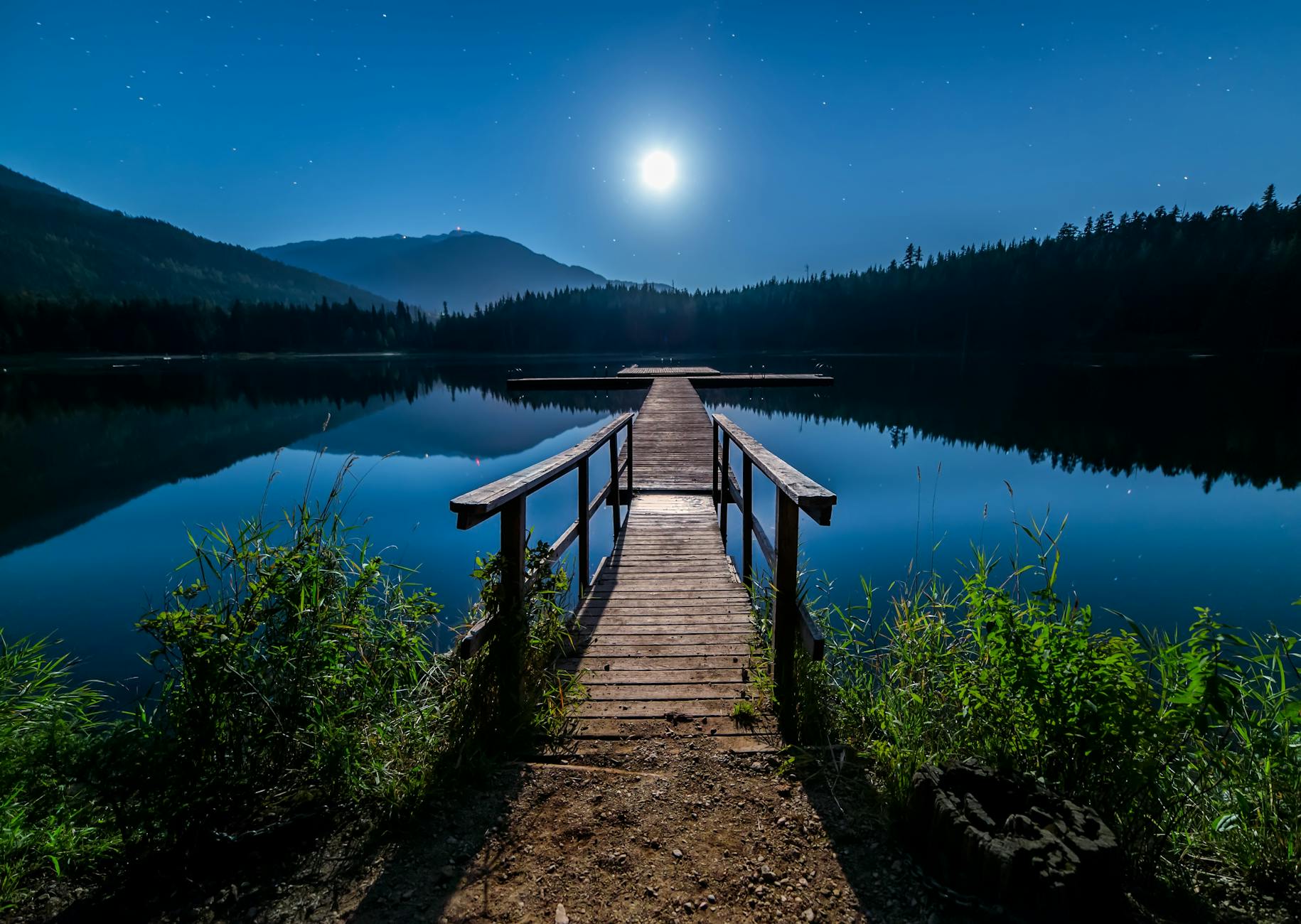 brown wooden dock