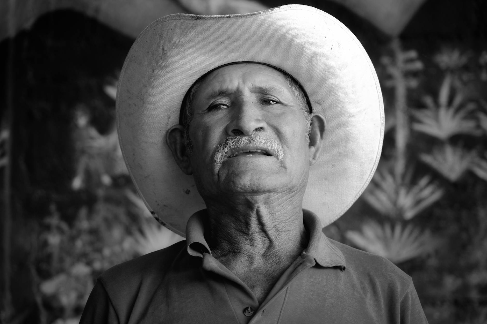mezcal e historia