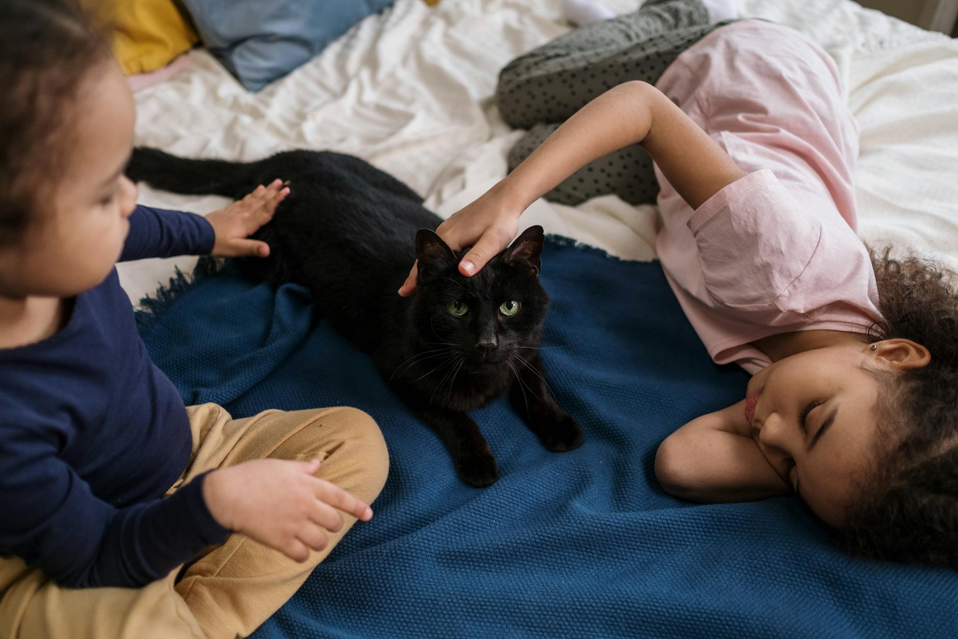 kids lying on bed with black cat